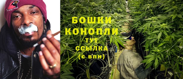 крисы Киренск