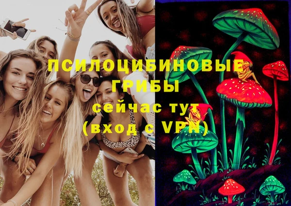 крисы Киренск