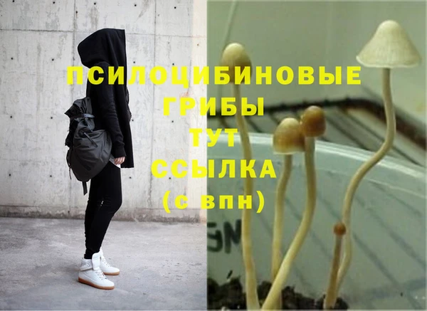крисы Киренск