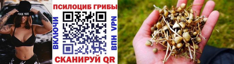 Купить закладки  Рузаевка  Псилоцибиновые грибы Magic Shrooms 
